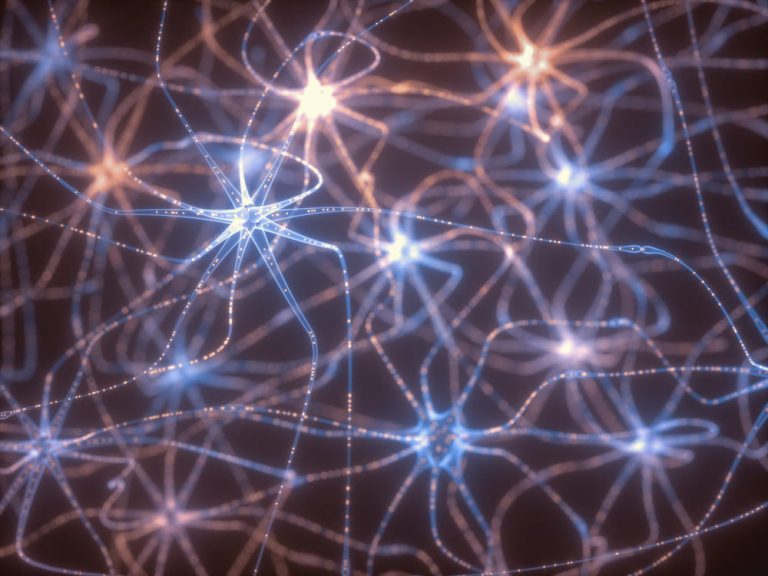 neuroprzekazniki 08 2024 Endorfiny - zadbaj o swoje szczęście na każdy dzień. Jak naturalnie podnieść ich poziom?