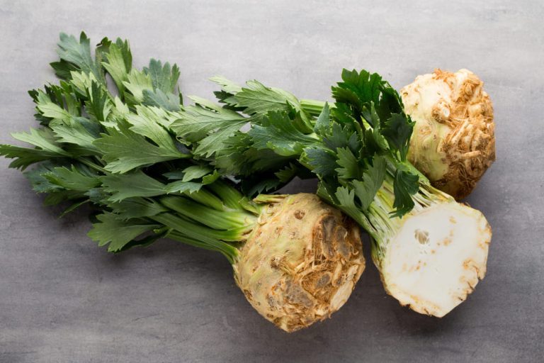 seler w cateringu dietetycznym Seler w cateringu dietetycznym FitApetit - wartości odżywcze i zastosowanie