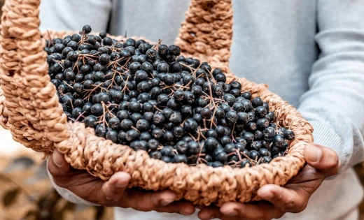 Jagody acai: właściwości mogą być dla Ciebie zaskakujące!
