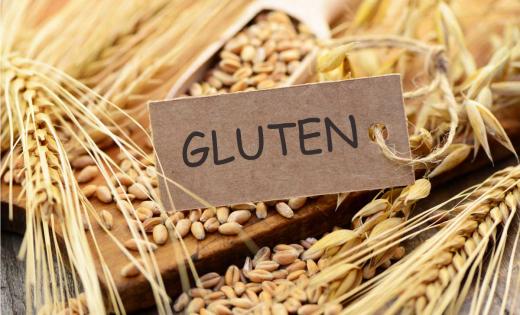 gluten